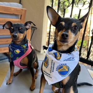 Warriors inspired bow/ boys bow tie/ dog bow tie/ pet bandana