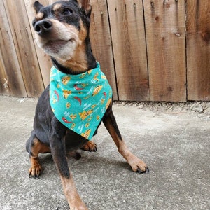 Tacos hair bow/ boys bow tie/ dog bow tie