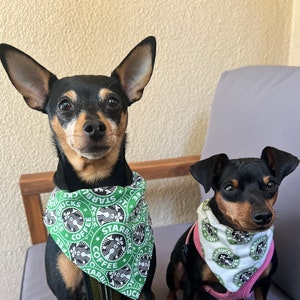Starbucks inspired bow/ boys bow tie/ dog bow tie/ pet bandana