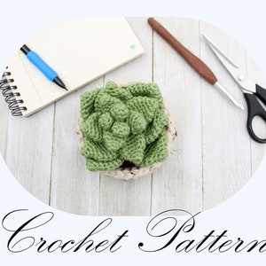 MOTIF AU CROCHET : Plante succulente, Succulente au crochet, Plante au crochet (ANGLAIS seulement)