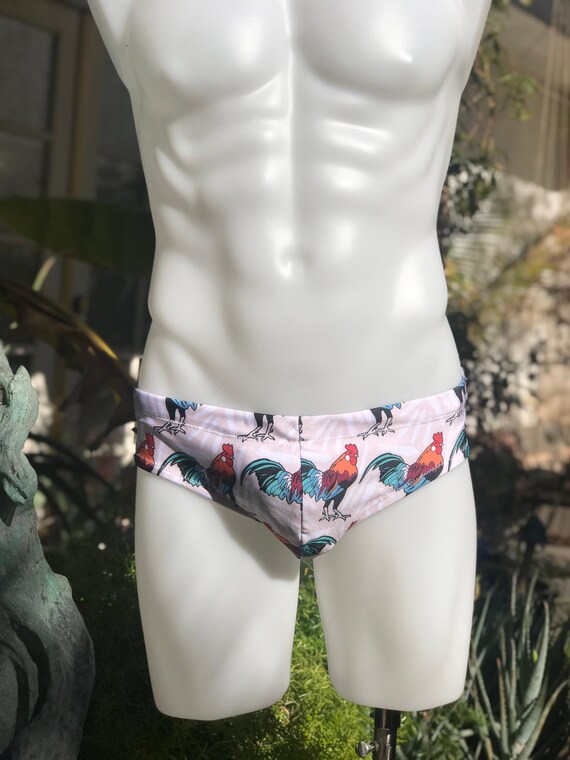 swim briefs swimwear