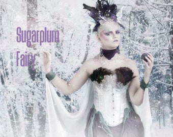 Snow Fairy Costume