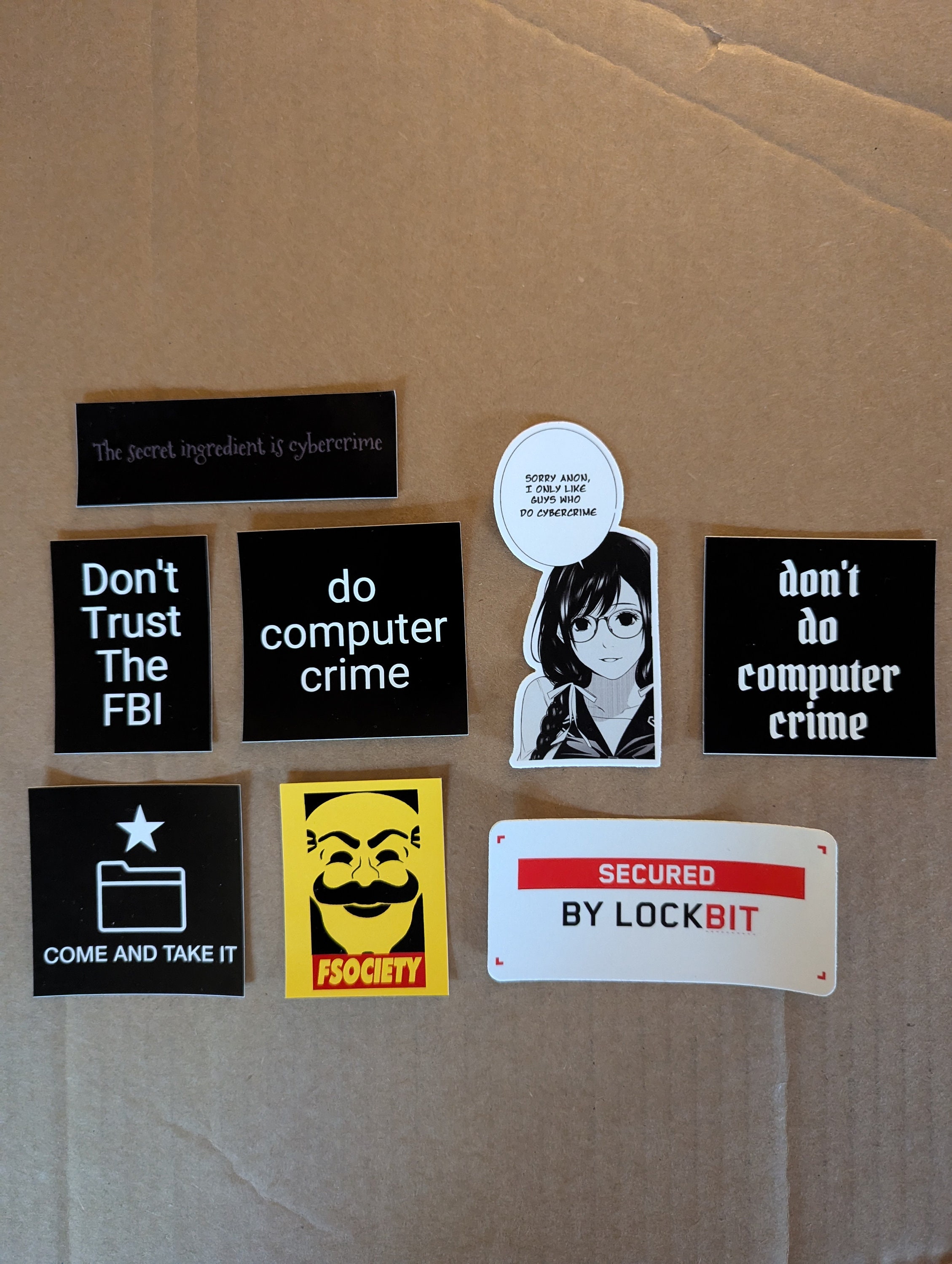 Hacker Sticker Pack - 8 Pcs - Perfect Gift for Anyone Who is Into ...