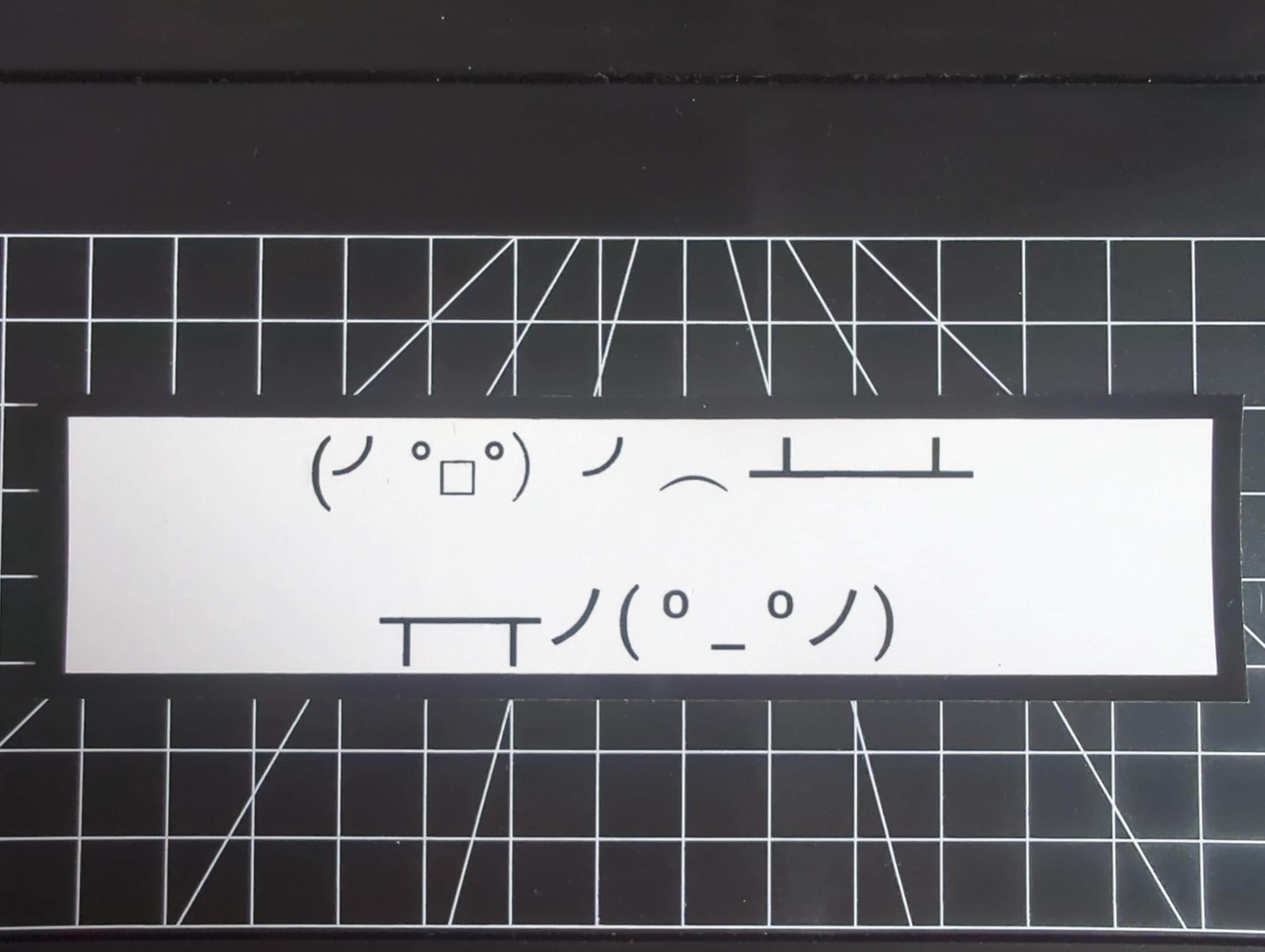 Table Flipper ASCII Stickers - Etsy