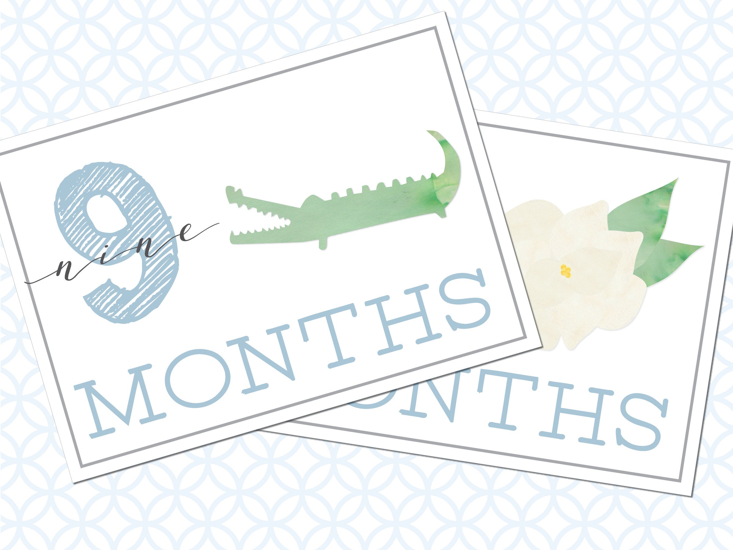 Printable Monthly Milestone Cards for Baby, Louisiana: Instant Download ...