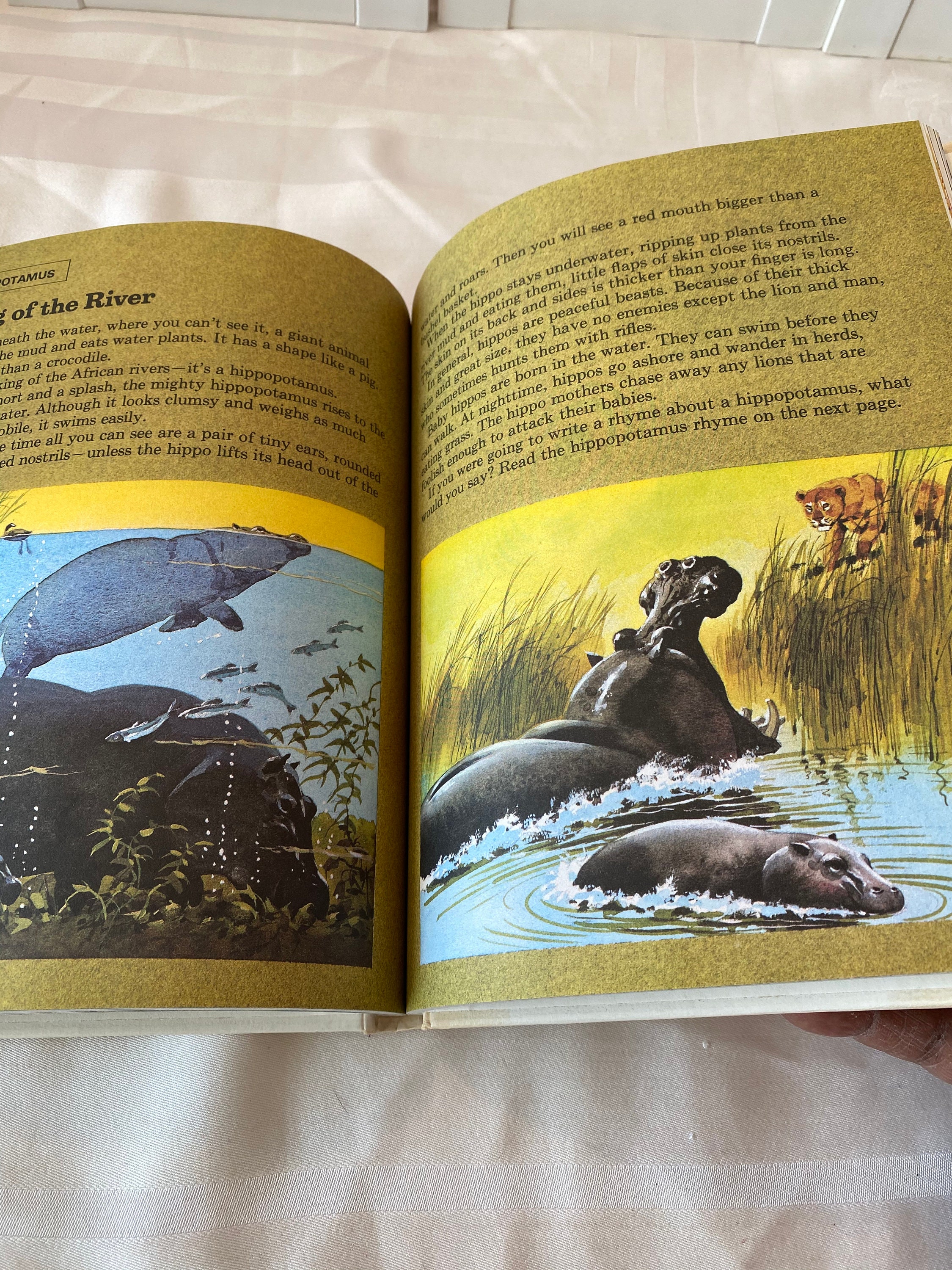 CHILDREN’S RHYMES,ETC. 洋書　アンティーク Vintage 1950s Nursery Rhyme Children's Book - Etsy