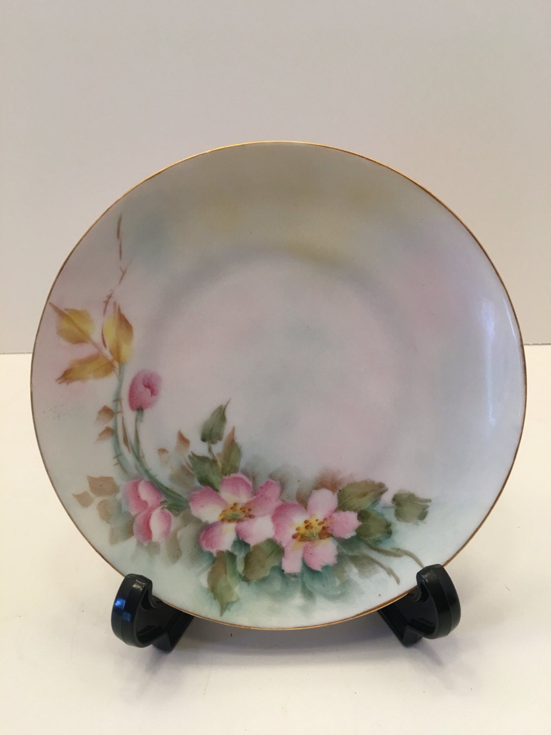 Antique MZ Altrohlau CMR Czechoslovakia Hand Painted Floral Plates