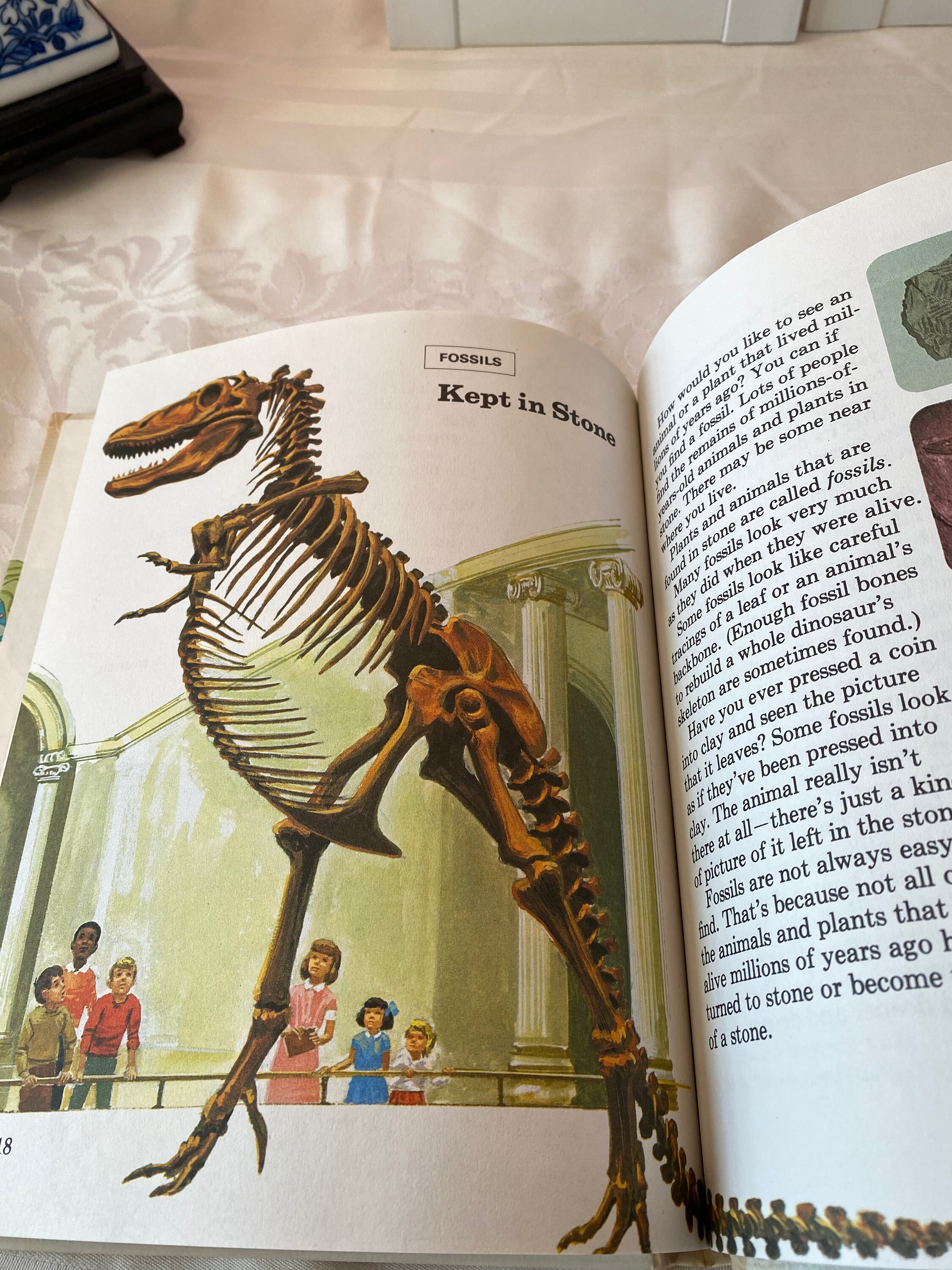 Vintage Book ~ The Young Children's Encyclopedia ~ Vol 6