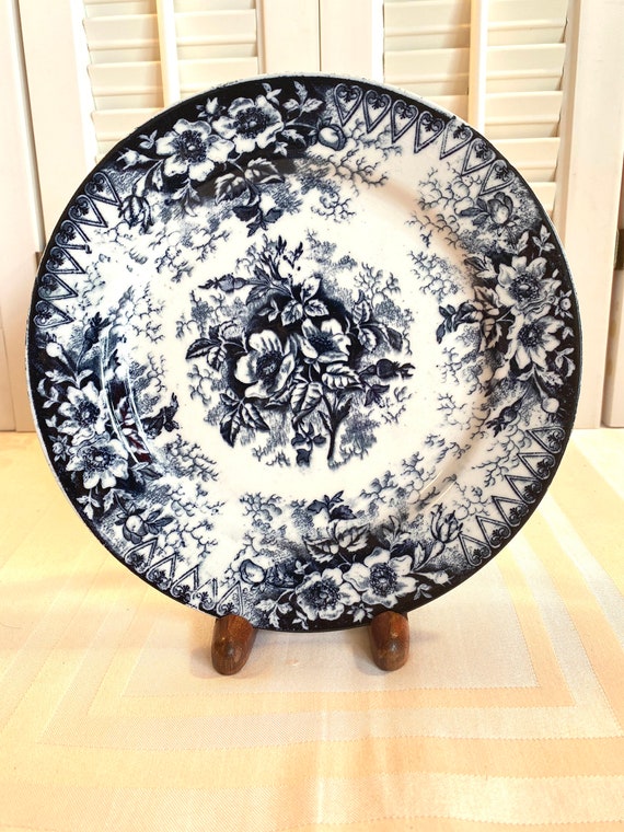 Vintage 1920's Royal Bonn Wildrose Plate ~ Blue & White ~ 7 3/4