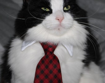 etsy cat tie