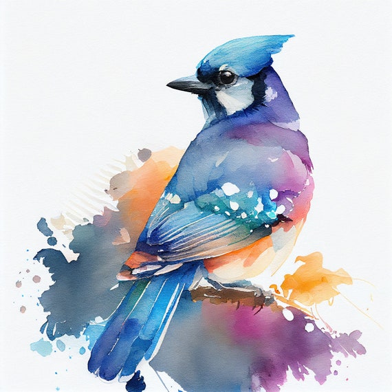 Blujay