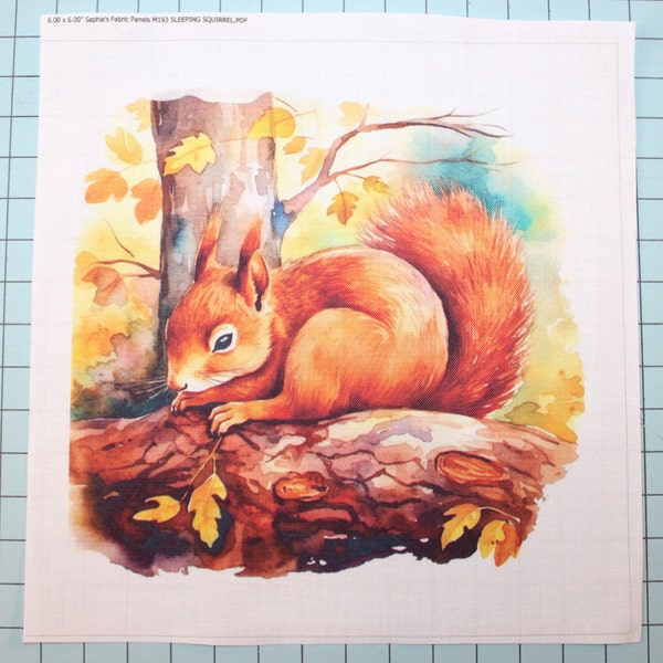 Sleeping Squirrel 100% Cotton Fabric Panel Square - Small Sewing Quilting Block M193