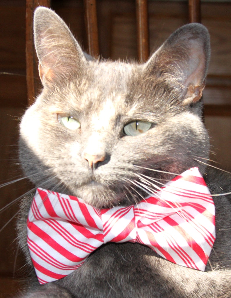 Boys Leopard Print Clip On Cotton Bow Tie Bowtie amy2004marie