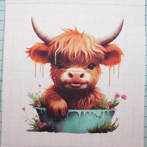 Baby Highland Cow 100% Cotton Fabric Panel Square - Small Sewing Quilting Block G962