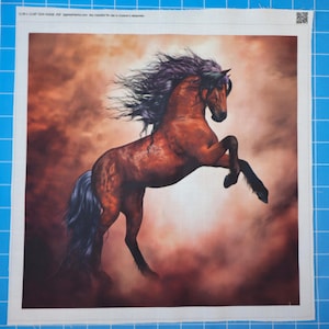 Horse Stallion 100% Cotton Fabric Panel Block | Small Sewing Quilting Square C934