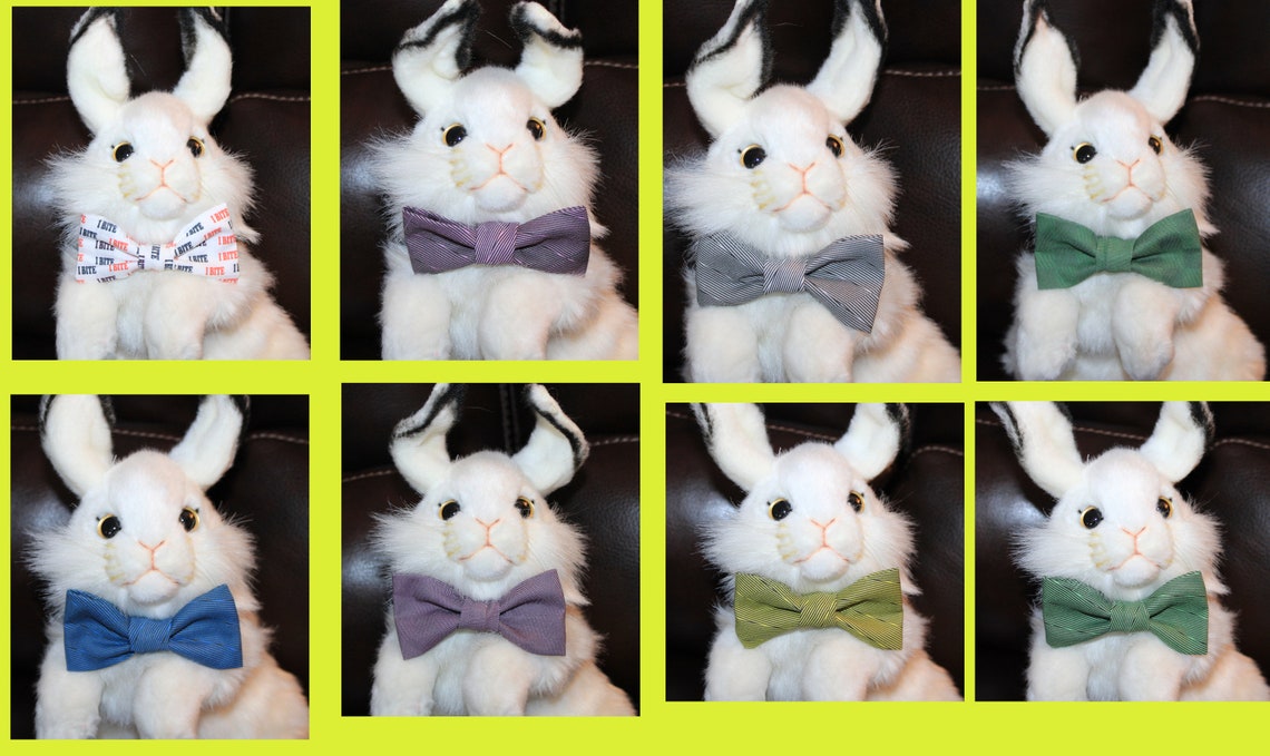 Bow Tie For Rabbit / Bunny Cotton Bow Tie on Soft Collar Etsy