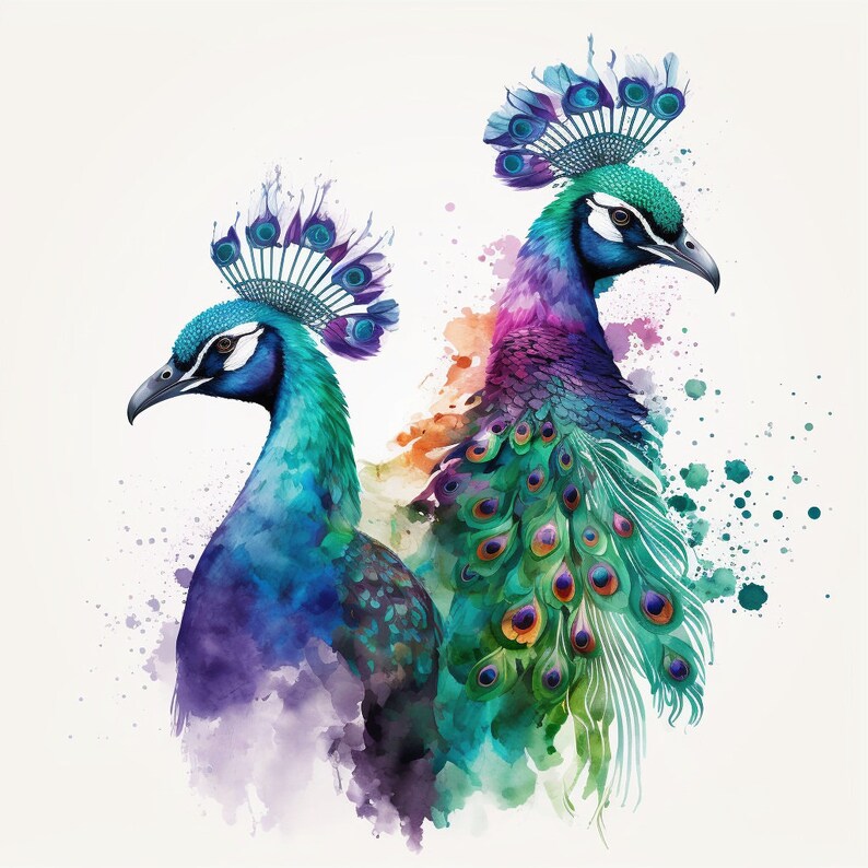 Watercolor Pair of Peacocks 100 Cotton Fabric Panel Square Etsy