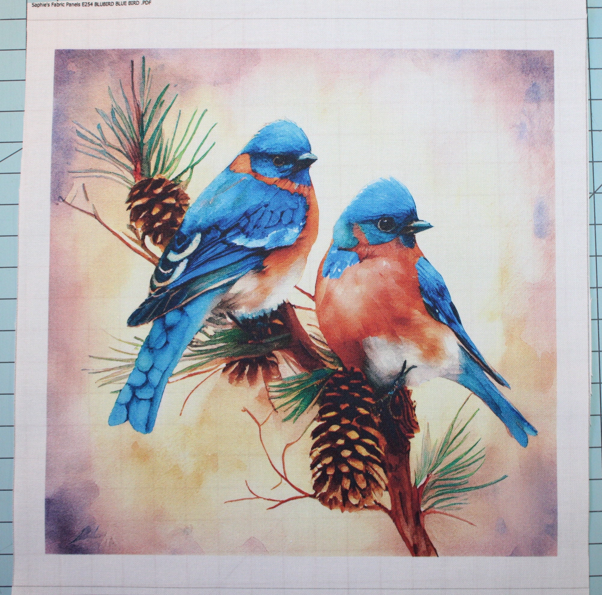 Bird Quilt or Pillow Panels, Printed Panel, Cranston Print Works