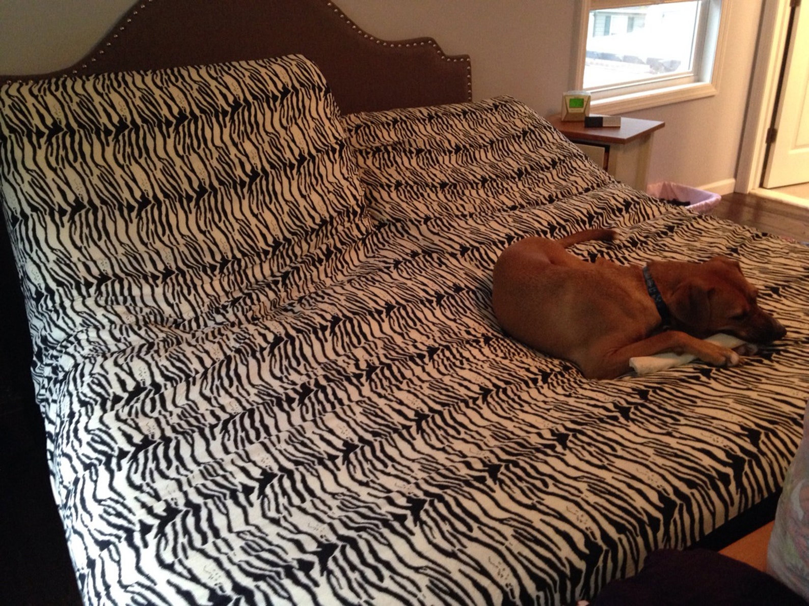 Won't Pop off King Flex Top California King Flex Top Burgundy Crimson