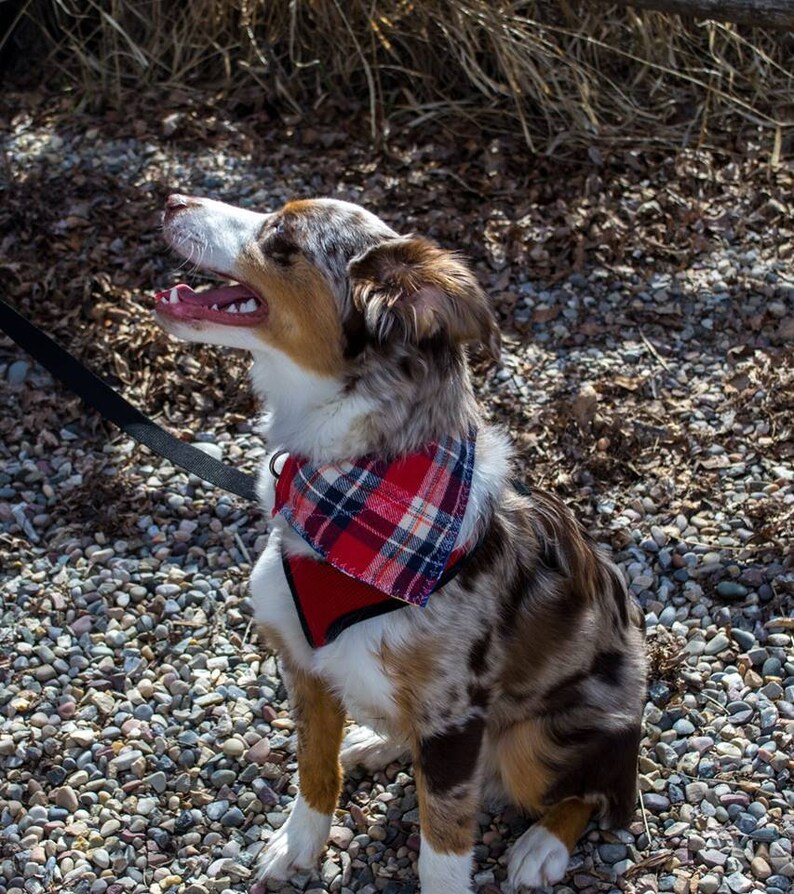 Customizable 076 Geometric Sunset Scenic Outdoor Wildlife Nature Scene Customizable Reversible Over the Collar Bandana Slider