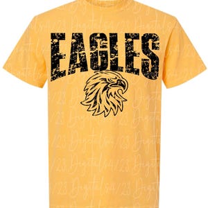 Eagles Distressed Black Mascot PNG for T-Shirts