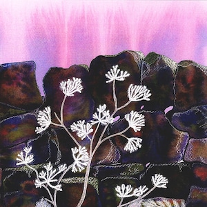 Tarjeta de saludos: "Camino congelado" - tarjeta de flores, tarjeta de cumpleaños de invierno, perejil de vaca, helada, pared, flores de invierno, de una pintura de Liz Clarke