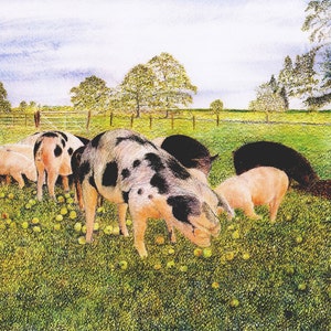 Wenskaart: "Apple feest" - varken kaart, Gevlekte varkens, dieren kaart, boerderij scène, appels, scène van het land, van een schilderij van Dave Marsh