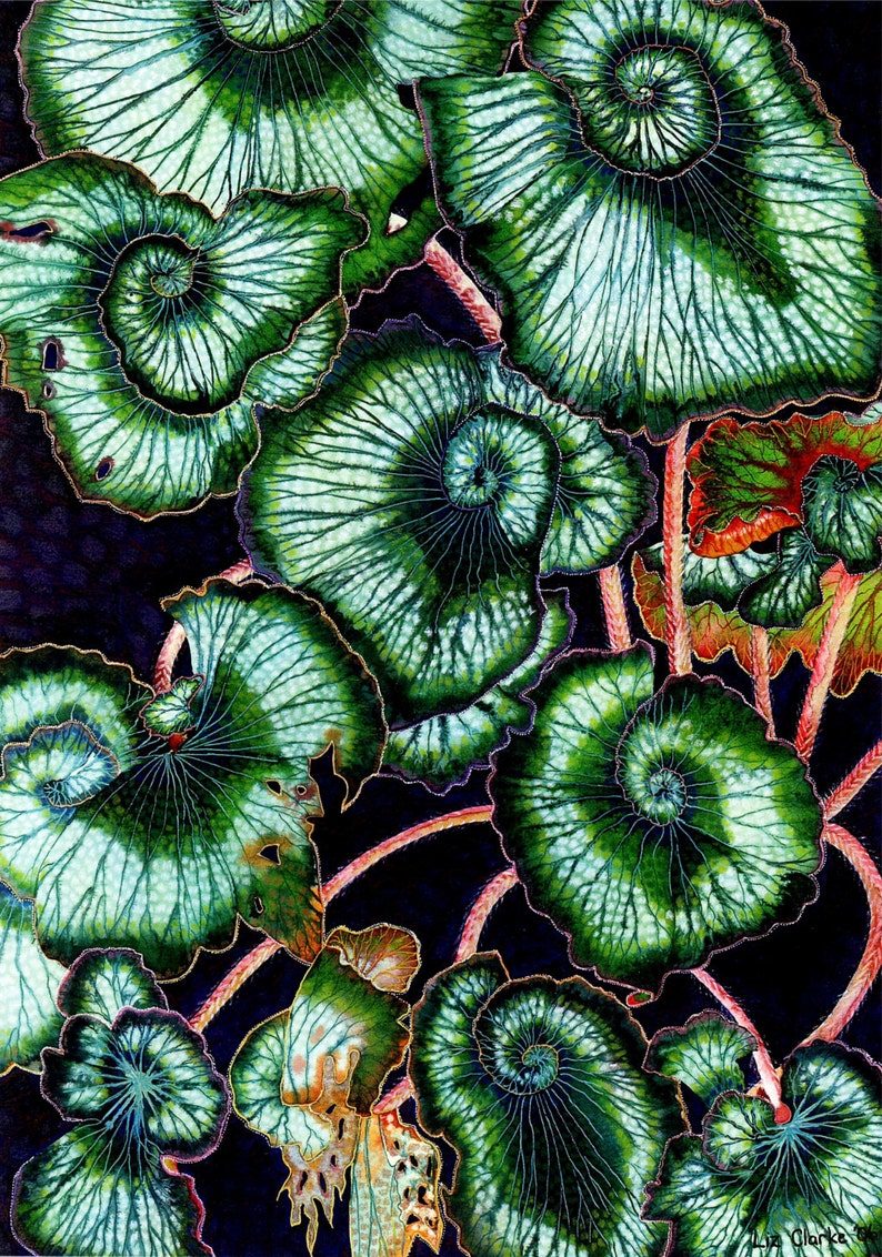 Greetings card: Spiral begonia leaf card | Etsy