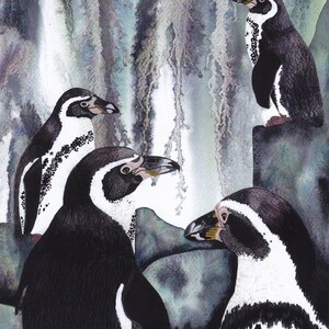 Tarjeta de felicitación: "Splashdown" - tarjeta de pingüino, tarjeta de pájaro, cascada, gris blanco negro, salpicaduras de agua, de una pintura de Liz Clarke