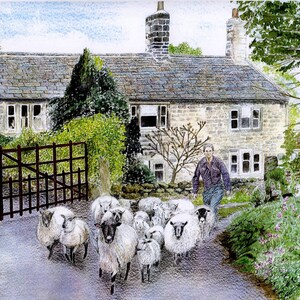 Wenskaart: "Ghyll House Farm"-schapenkaart, boerderij, kudde, landweg, landscène, van een origineel schilderij van Dave Marsh