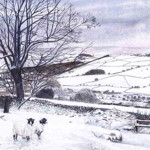 Cartão de felicitações: "Wharfedale winter" - paisagem de inverno, cena de neve, cartão de ovelha, Yorkshire, cartão de aniversário de inverno, de uma pintura de Dave Marsh