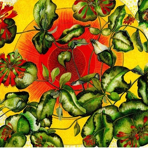 Cartolina d'auguri: "Caprifoglio mezzogiorno" - scheda del fiore, arte floreale, arancio giallo, sole, da un dipinto originale di Liz Clarke