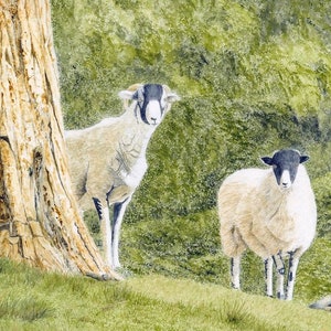 Wenskaart: "Bosbezoekers" - schapenkaart, dierenkaart, bosscène, schapen grazen, van een origineel schilderij van Dave Marsh