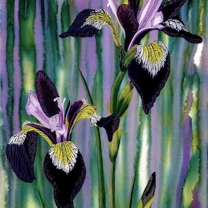 Tarjeta de felicitación: "Lirios al amanecer": tarjeta floral, lirios, lila, morado, pintura de iris, a partir de una pintura original de Liz Clarke.
