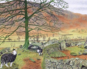 Greetings card: "Outside the fold"- sheep card, landscape card, Herdwick sheep, Cumbria, hills, from an original painting by Dave Marsh