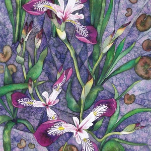 Greetings card: &quot;Water irises&quot; -flower card, floral art card, iris painting, pink/purple flower card, from an original painting by Liz Marsh