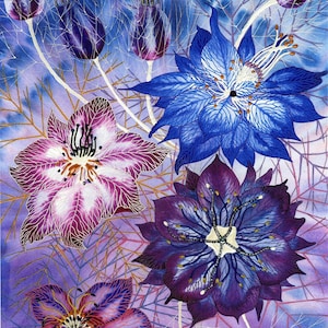 Tarjeta de felicitación: "Nigella fantasy" - tarjeta de flores, flores de nigella, rosa, azul, púrpura, amor en una niebla, estambres, de una pintura de Liz Clarke