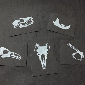 May include: Five black cards with white illustrations of animal bones. The cards feature a skull, jawbone, bird skull, ram skull, and a claw. The illustrations are detailed and stylized, with a focus on the skeletal structures.