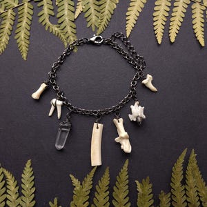May include: A dark silver chain bracelet with bone and crystal charms. The charms include small bones, teeth, and a clear quartz crystal. The bracelet is on a black surface with green fern leaves.