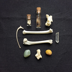 May include: A collection of natural items including two clear glass vials with cork stoppers containing small bones, several loose white animal bones, a curved bone fragment, a clear quartz crystal, a smooth green stone, and a yellow stone.