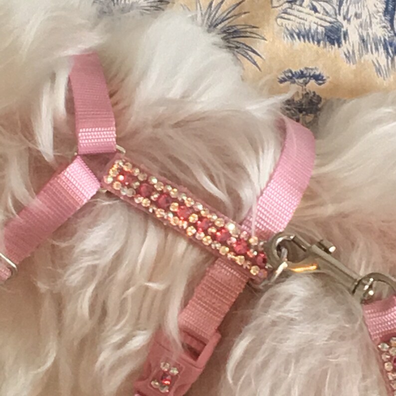 Small Dog Harness Crystal Dog Harness Leash Etsy