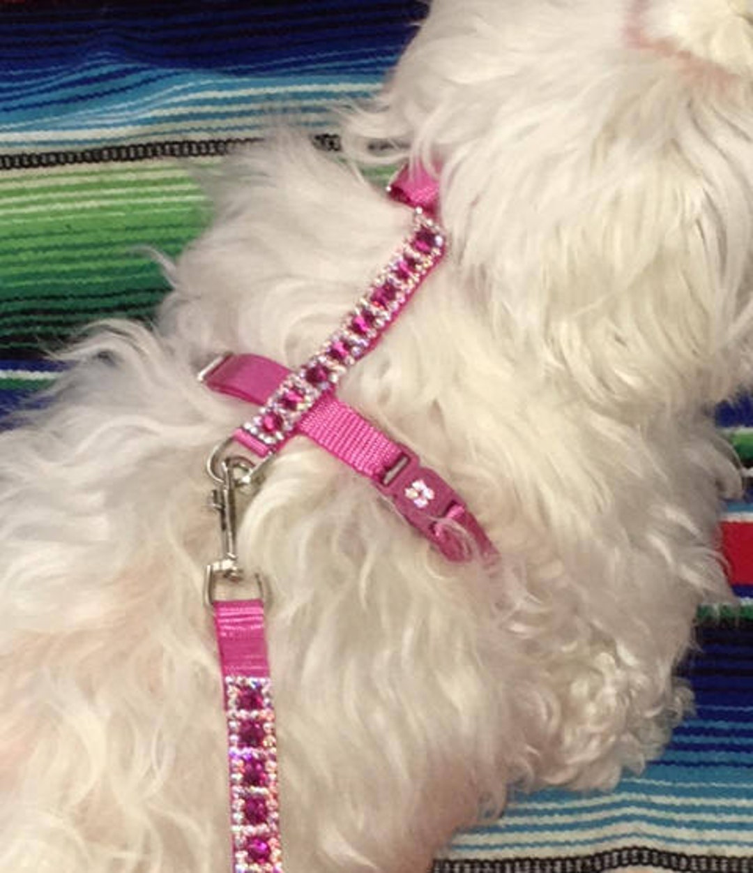 Raspberry Ice Crystal Dog Harness, Crystal Dog Harness, Crystal Cat