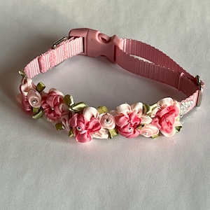 Rose Dog Collar, Adjustable, small dog collar