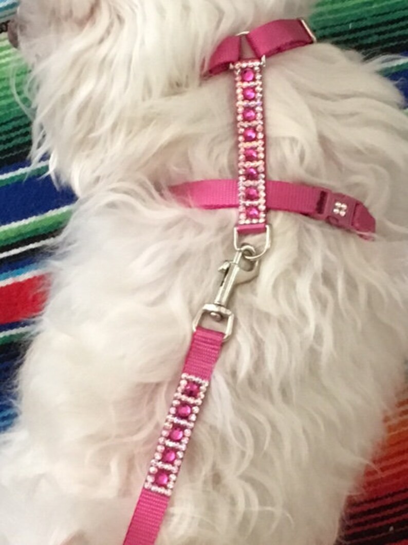 Small Dog Collar Harness and Leash Crystal Dog Harness Etsy