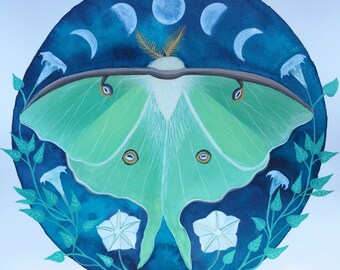 Small Luna Moth Art Print 4x6 Moon Phase Moth Watercolor Painting by ...