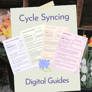 Könnte beinhalten: Ein Set aus vier Informationskarten mit dem Titel Cycle Syncing Digital Guides, die die follikuläre, ovulatorische, luteale und menstruelle Phase darstellen. Jede Karte enthält Abschnitte zu Energielevel, Hormonen, Ernährung und Bewegung.