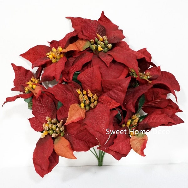 Burgundy Poinsettia Etsy