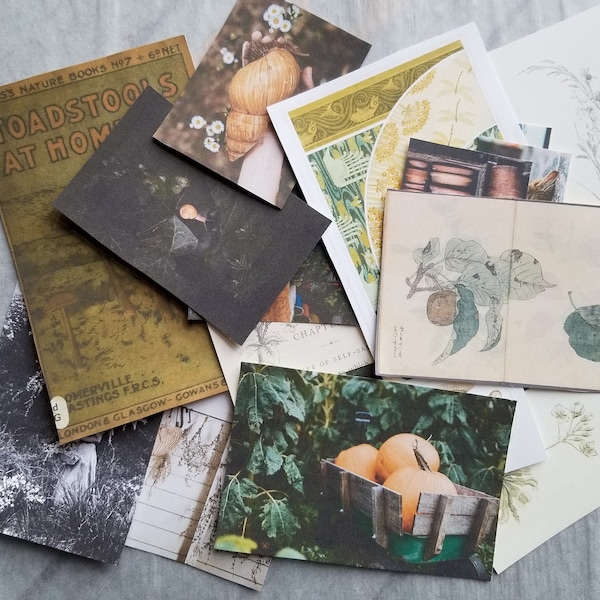 Green Witch themed paper kit, 20 piece garden witch ephemera photos vintage illustrations for junk journal altar art mood board spell book