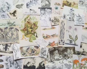 Vintage Frogs paper kit, 37 piece Frogcore ephemera pack for art journal junk journal scrapbook collage snail mail nature journal cards