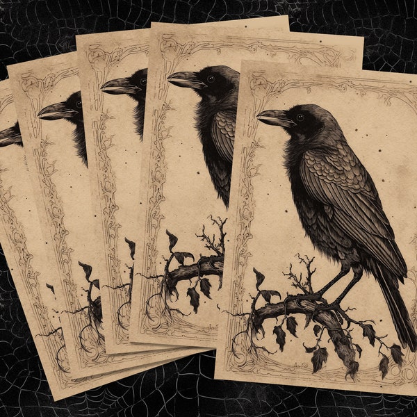 Macabre Crow greeting cards, set of 5 folded blank note cards witchcraft card witchy gothic cards Halloween greeting card Halloween card set